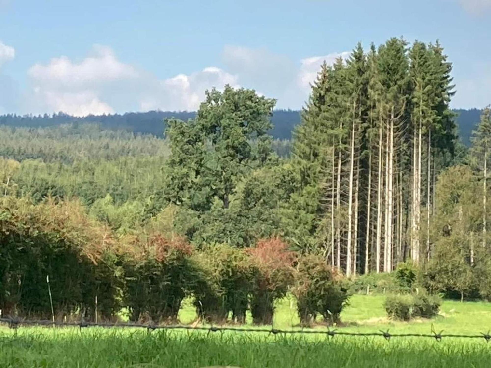Сasa de vacaciones Cozy In Durbuy With Garden *